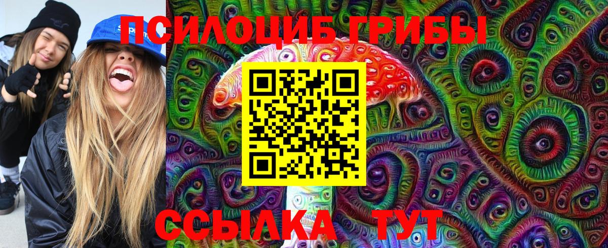 Псилоцибиновые грибы прущие грибы Калуга