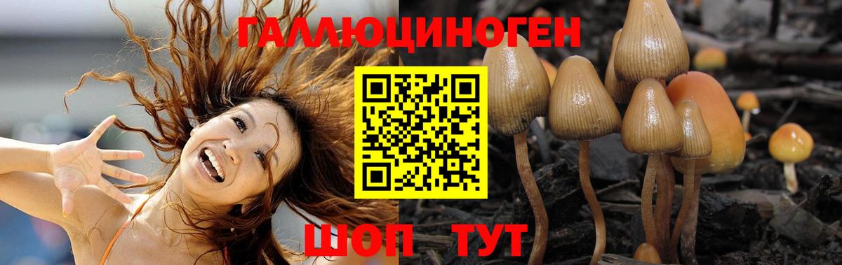 Псилоцибиновые грибы прущие грибы  закладки  Вход с VPN  Калуга  Галлюциногенные грибы прущие грибы 
